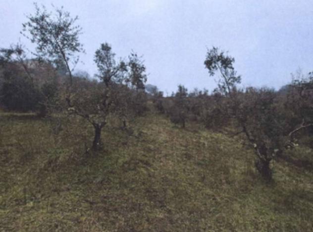 Immobile in asta di 98 m² in vendita a Siena - Foto 10