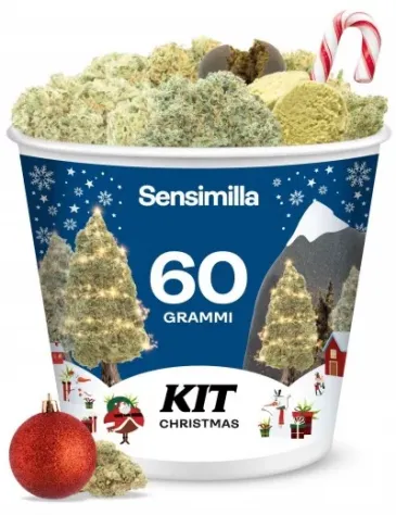 Christmas Kit - 60g