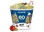 Christmas Kit - 60g