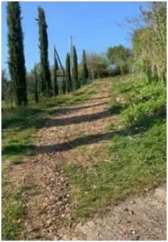 Immobile in asta di 1922 m² in vendita a Orgiano - Foto 3