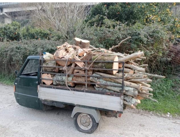 Piccoli trasporti, sgomberi generici e giardinaggio - Foto 2