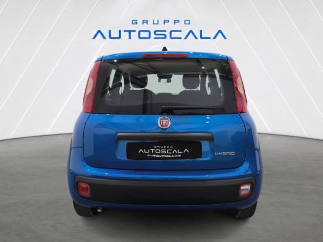 FIAT New Panda Pandina 1.0 FireFly 65 CV Hybrid Icon rif. 24157234 - Foto 5