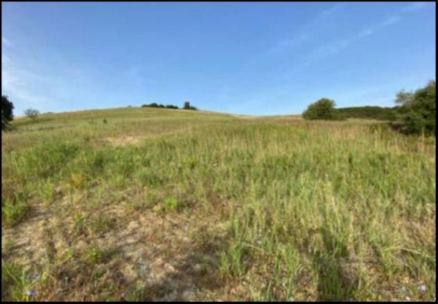 Immobile in asta di 7166 m² in vendita a Montescaglioso - Foto 11