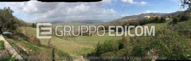 Terreno di 20393 mq in vendita a Chianche - Rif. 4551908 - Foto 2