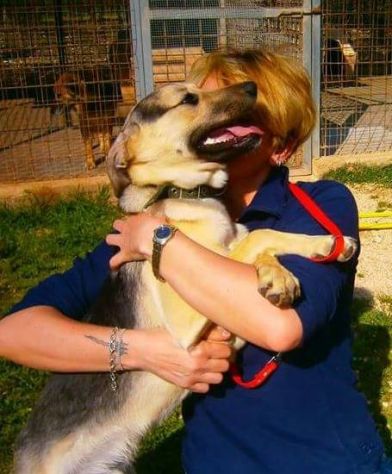 PLUTO in cerca di casa - Foto 7