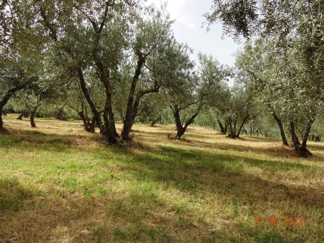 Terreno agricolo in Vendita in zona LECCIO con giardino - Foto 5