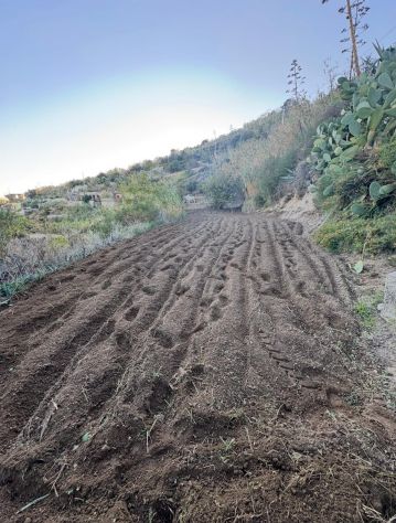 TERRENO PANORAMICO DI 620 MQ – PANZA, FORIO (ISCHIA) - Foto 5