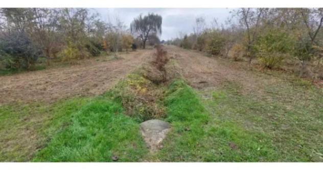 Immobile in asta di 64986 m² in vendita a San Donà di Piave - Foto 9