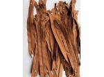 C37 Cerniere lampo da cm. 18 in nylon colore brandy - Pz. 34