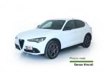 Alfa Romeo Stelvio Stelvio 2.2 Turbodiesel 210 CV AT8 Q4 Veloce