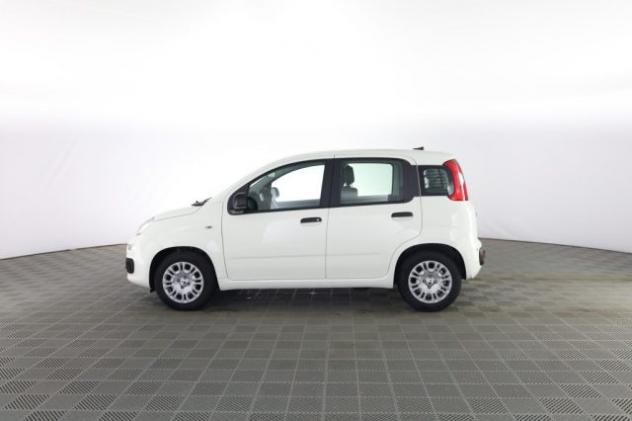 FIAT Panda Pandina 1.0 FireFly 65 CV Hybrid Icon rif. 23829001 - Foto 7