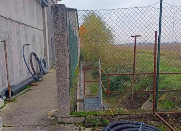 Immobile in asta di 4814 m² in vendita a Roncoferraro - Foto 10