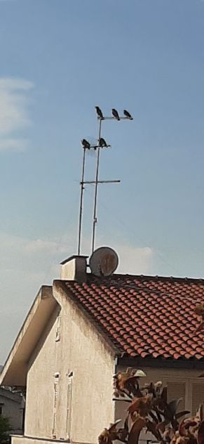Infernetto Privata  compra in contanti villa