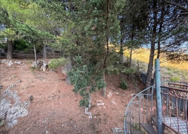 Rustico in vendita a Belmonte Mezzagno - Foto 10