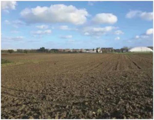 Immobile in asta di 5000 m² in vendita a Mondolfo - Foto 2