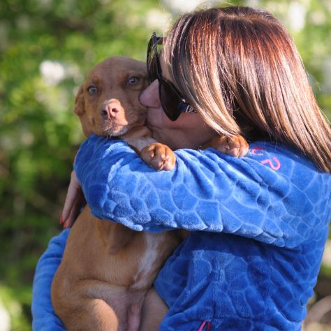MOCHI, 3 MESI, TAGLIA MEDIA, VAGAVA PER STRADA DA GIORNI - Foto 3