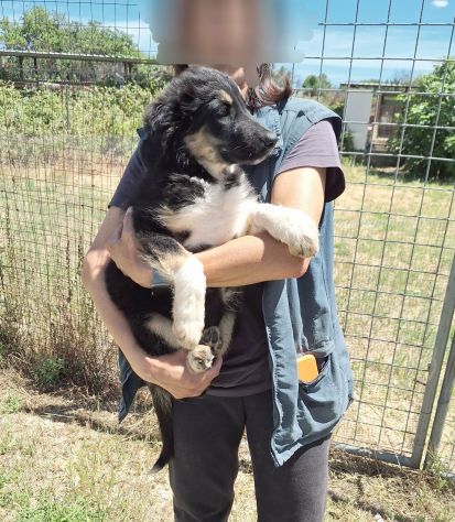 Ciao, vuoi dire alla mia famiglia che sono qui e li sto aspettando? - Foto 3