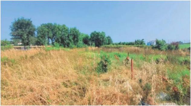 Immobile in asta di 595 m² in vendita a Porto Recanati - Foto 5