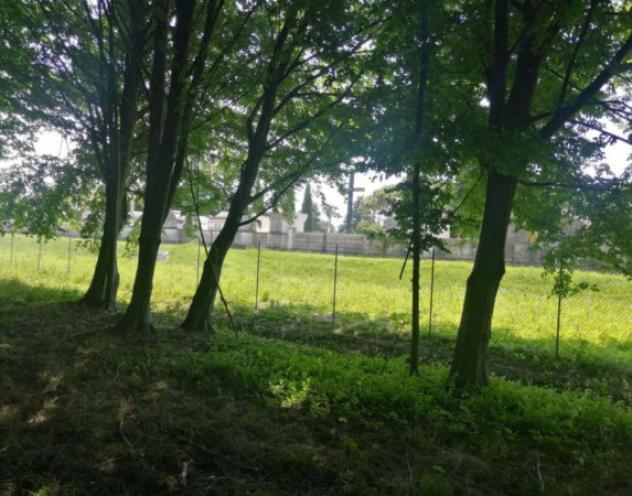 Immobile in asta di 34378 m² in vendita a Treviso - Foto 4