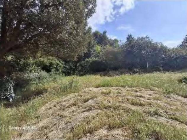 Immobile in asta di 134 m², box auto in vendita a Scansano - Foto 3