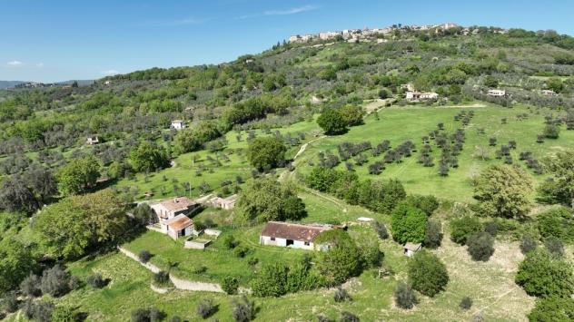 Casale in vendita a Baschi - Foto 5