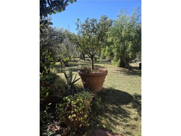 Terratetto in vendita a Vinci 76 mq Rif: 1451211 - Foto 5