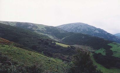 Terreno agricolo nord Sardegna - Gallura - Foto 5