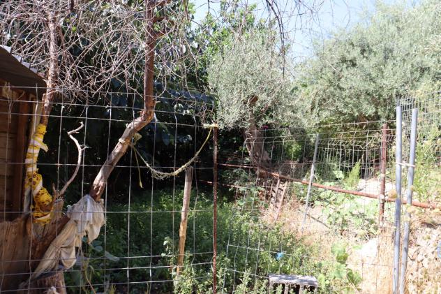Terreno Edificabile in vendita a Calatabiano - Foto 7
