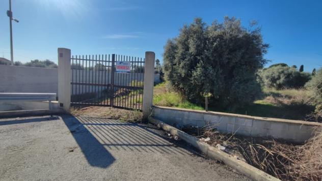 Terreno Agricolo di mq 7000 in strada per Floridia - Foto 2
