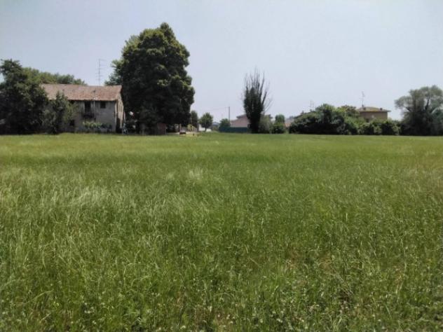 Immobile in asta di 37388 m² in vendita a Novellara - Foto 7