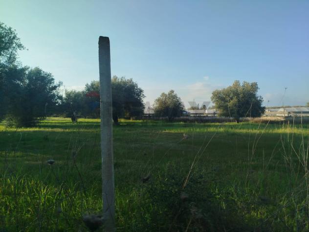 Villa singola in vendita a Noto - Foto 10
