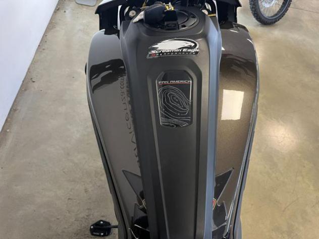 HARLEY-DAVIDSON Pan America 1250 Pan America 1250 rif. 24000012 - Foto 10