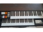Organo GEM P10 vintage