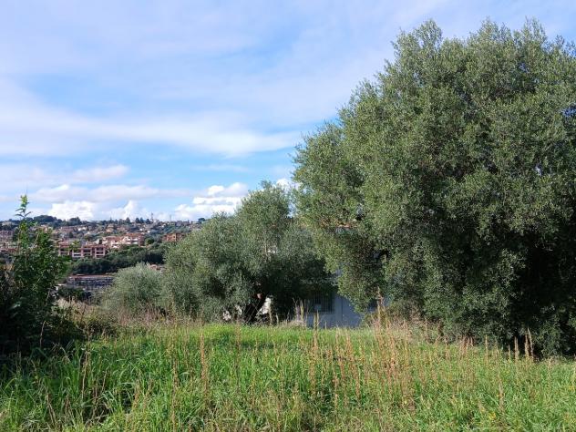 Terreno edificabile in vendita a Morlupo - Foto 18