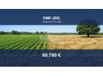 Immobile in asta di 11378 m² in vendita a Ome