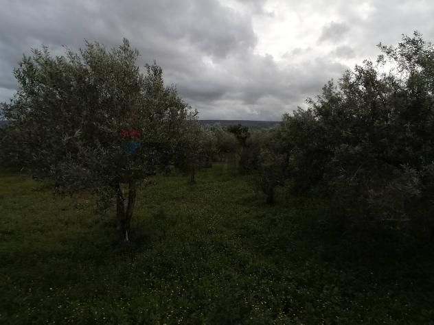 Altro in vendita a Comiso - Foto 11