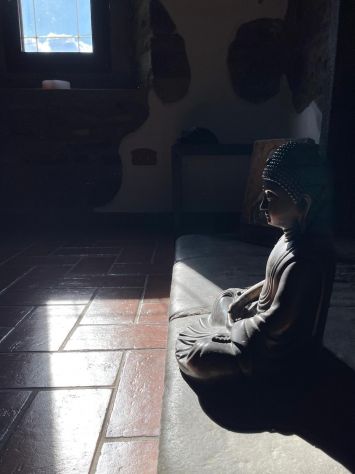 Affittasi ampia luminosa stanza con bagno privato in contesto immerso nel natura - Foto 2