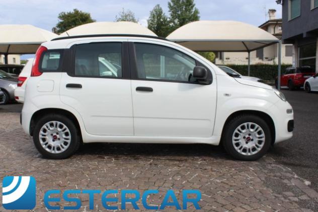 FIAT Panda 1.2 Lounge KM 34.900 rif. 24084492 - Foto 2