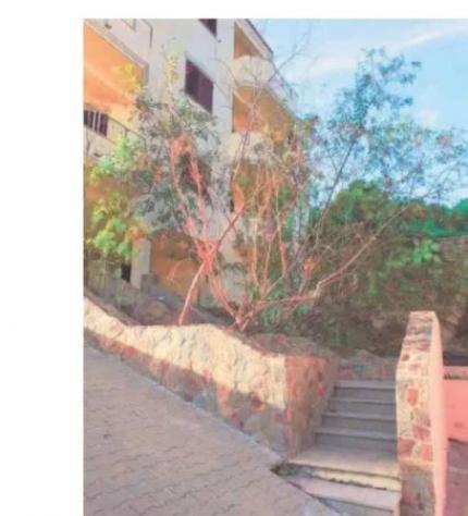 Immobile in asta di 15 m² in vendita a La Maddalena - Foto 9