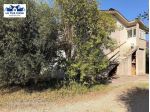 FIANO ROMANO - Villa bifamiliare immersa nel verde