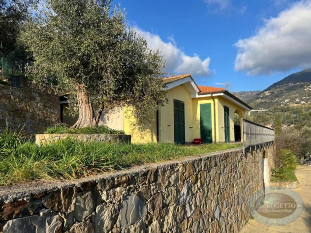 Villa singola in Vendita a Sanremo + terreni e rustico – via Borgo Tinasso - Foto 3