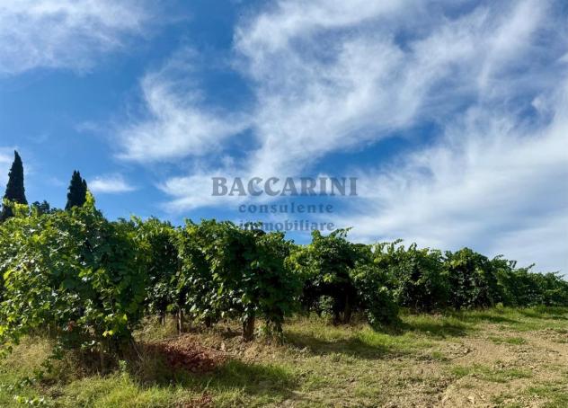 PODERE AGRICOLO CON CAPANNONE - BRISIGHELLA - FAENZA - VIA AGELLO E SANDRONA - Foto 13