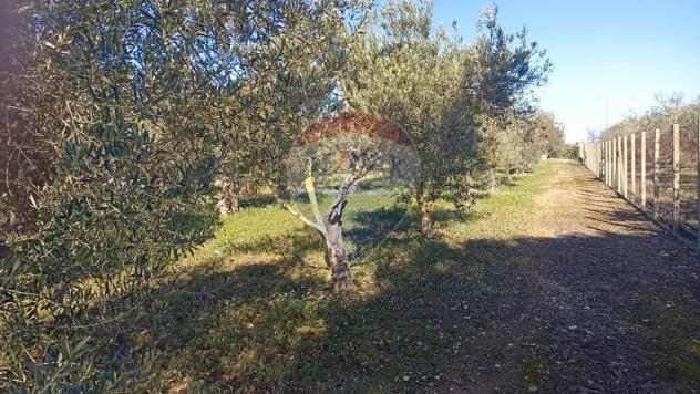 Rustico in vendita a Chiaramonte Gulfi - Foto 6