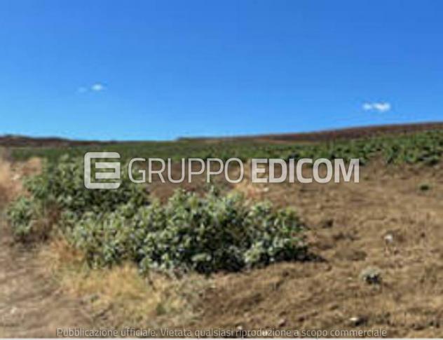 Terreno di 118260 mq in vendita a Monreale - Rif. 4552644 - Foto 6