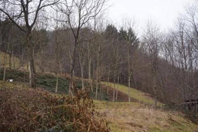 Immobile in asta di 6196 m² in vendita a Valli del Pasubio - Foto 4