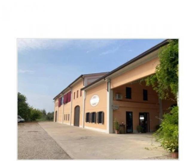 Immobile in asta di 687 m² in vendita a Ravarino - Foto 3
