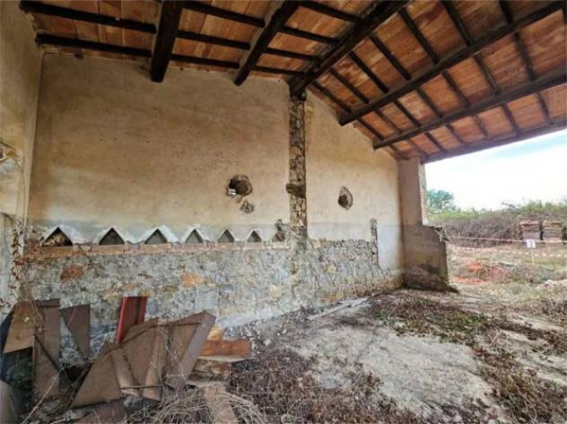 Immobile in asta di 1555 m² in vendita a Cinigiano - Foto 15