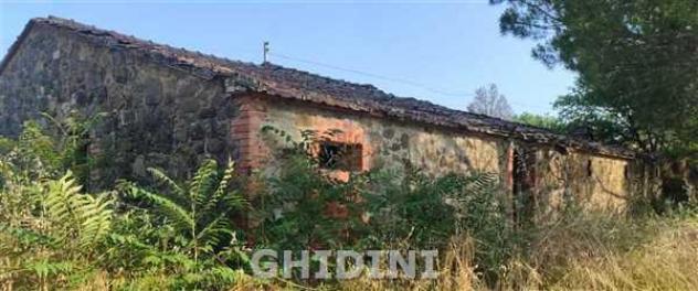 CASALE di 20 vani e di 750 mq (CINIGIANO - S. RITA) rif. 2432.102P - Foto 11