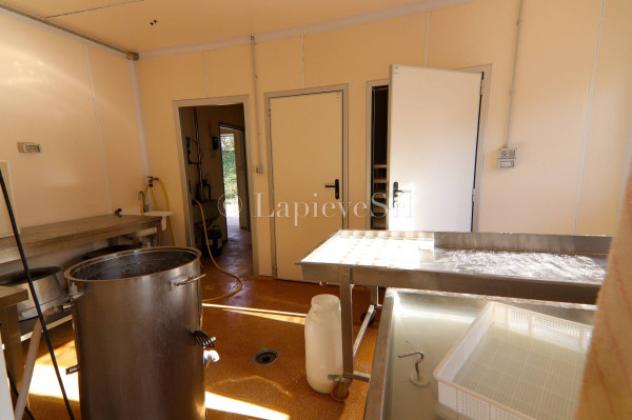 Rustico / Casale di 70000 m² con più di 5 locali in vendita a Fubine Monferrato - Foto 14