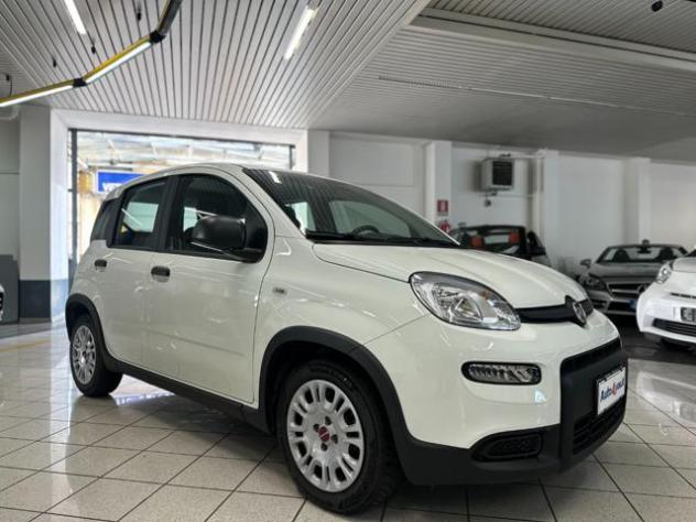 FIAT Panda PREZZO REALE 1.0 FireFly S&S Hybrid - Iva Esposta rif. 23796435